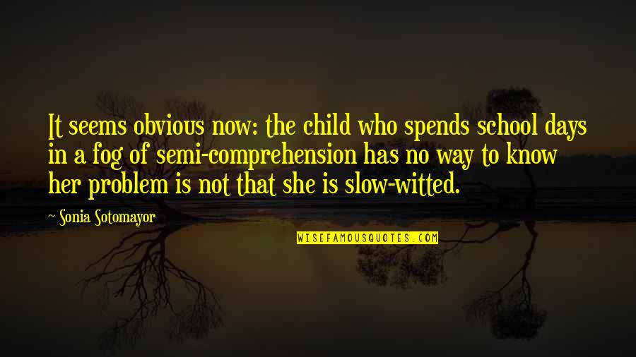 Now In Days Quotes By Sonia Sotomayor: It seems obvious now: the child who spends