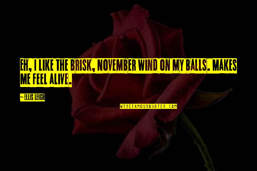 Now In November Quotes By Ellis Leigh: Eh, I like the brisk, November wind on