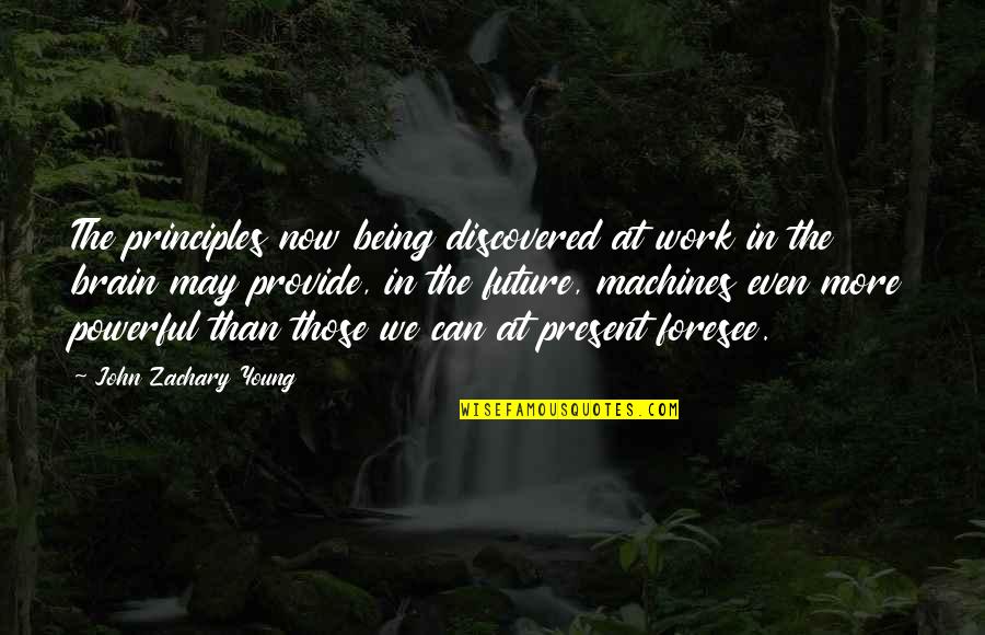 Now In Quotes By John Zachary Young: The principles now being discovered at work in Now In Quotes By John Zachary Young: The principles now being discovered at work in