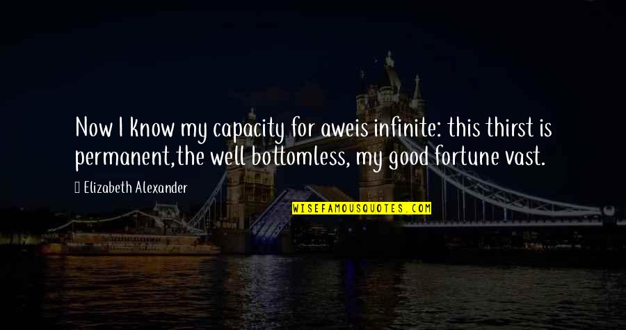 Now Is Good Quotes By Elizabeth Alexander: Now I know my capacity for aweis infinite: