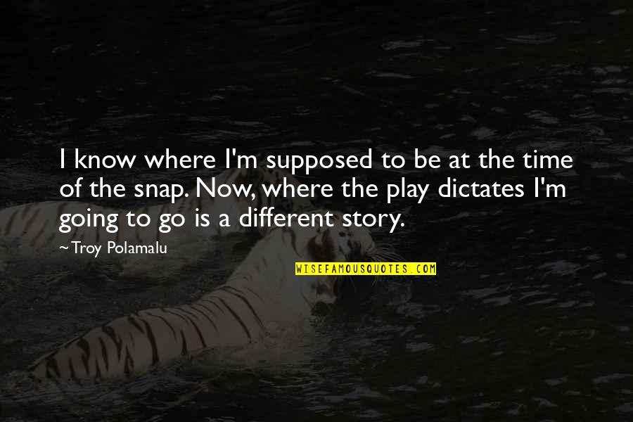 Now Is The Time Quotes By Troy Polamalu: I know where I'm supposed to be at
