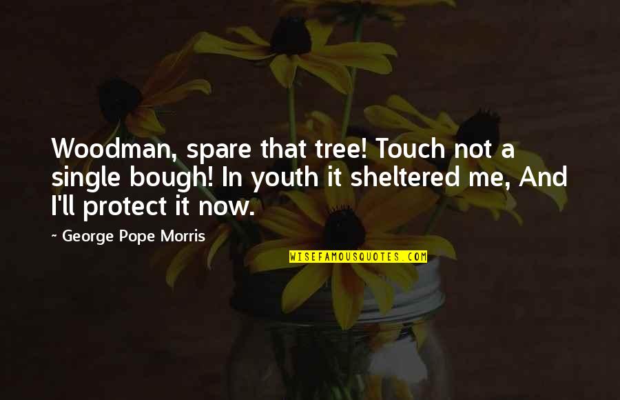Now That I Single Quotes By George Pope Morris: Woodman, spare that tree! Touch not a single