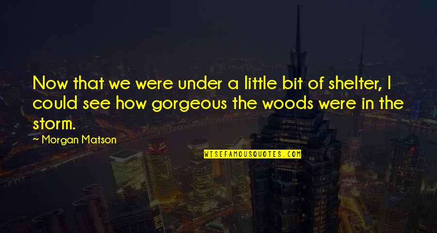 Now We Quotes By Morgan Matson: Now that we were under a little bit