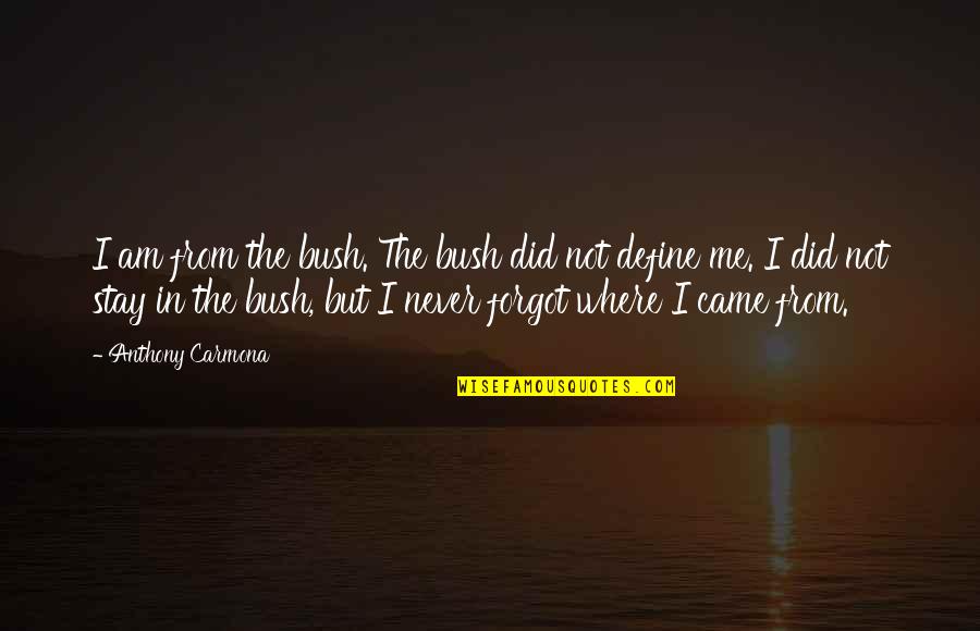 Now You Forgot Me Quotes By Anthony Carmona: I am from the bush. The bush did Now You Forgot Me Quotes By Anthony Carmona: I am from the bush. The bush did
