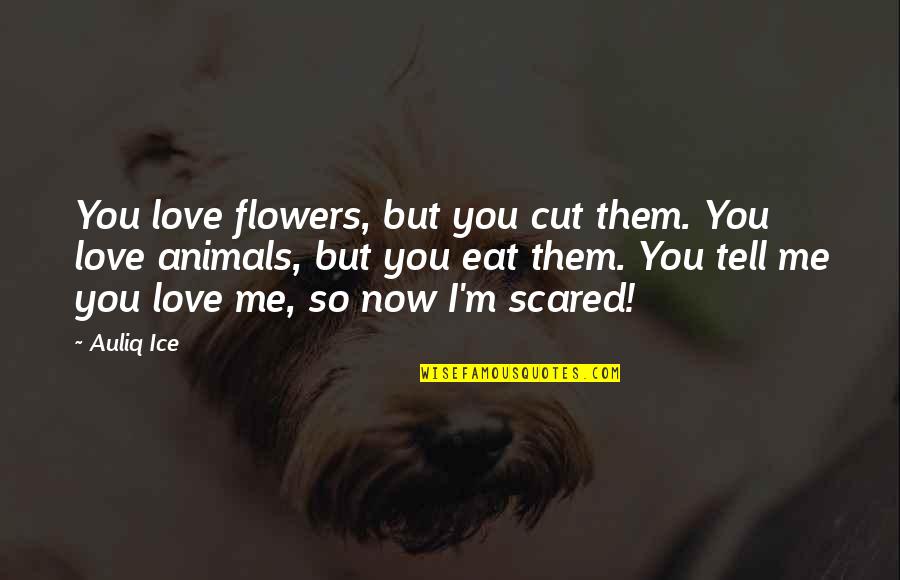 Now You Love Me Quotes By Auliq Ice: You love flowers, but you cut them. You