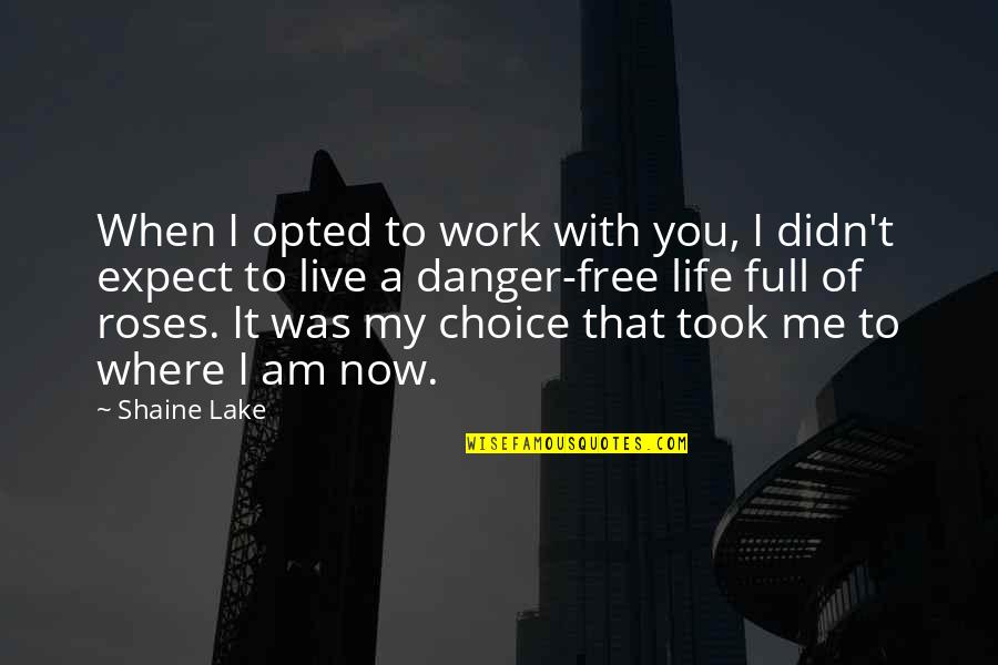 Now You're Free Quotes By Shaine Lake: When I opted to work with you, I