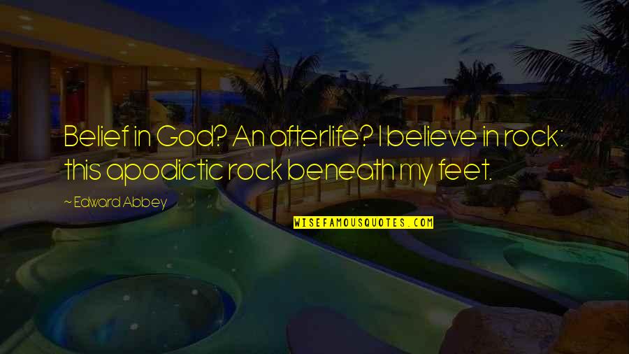 Nowacki Dentist Quotes By Edward Abbey: Belief in God? An afterlife? I believe in