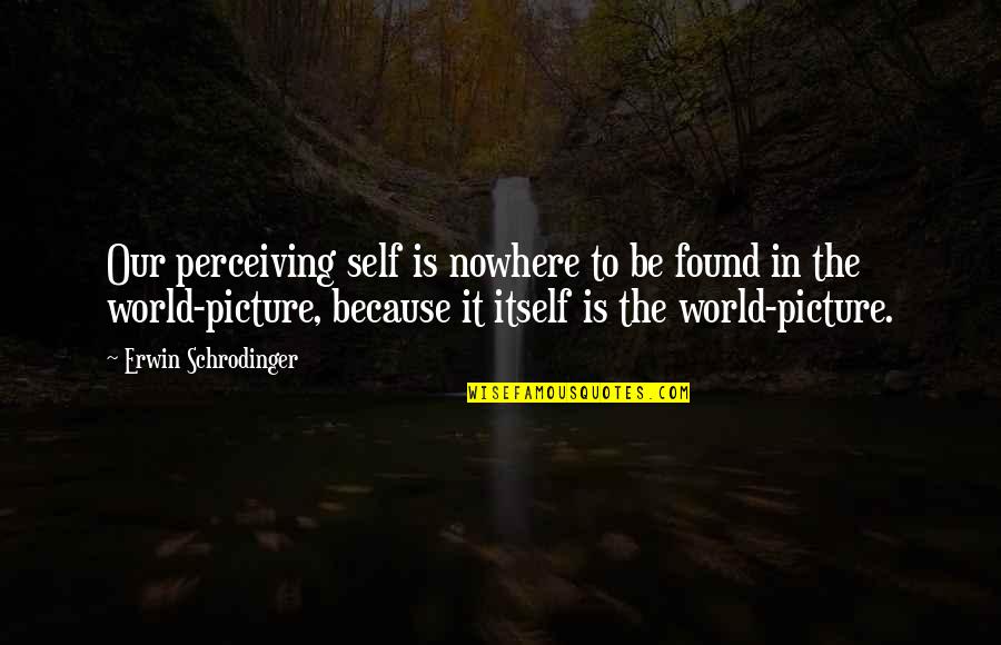 Nowhere In Quotes By Erwin Schrodinger: Our perceiving self is nowhere to be found