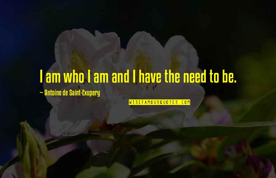 Nowhere To Turn Quotes By Antoine De Saint-Exupery: I am who I am and I have