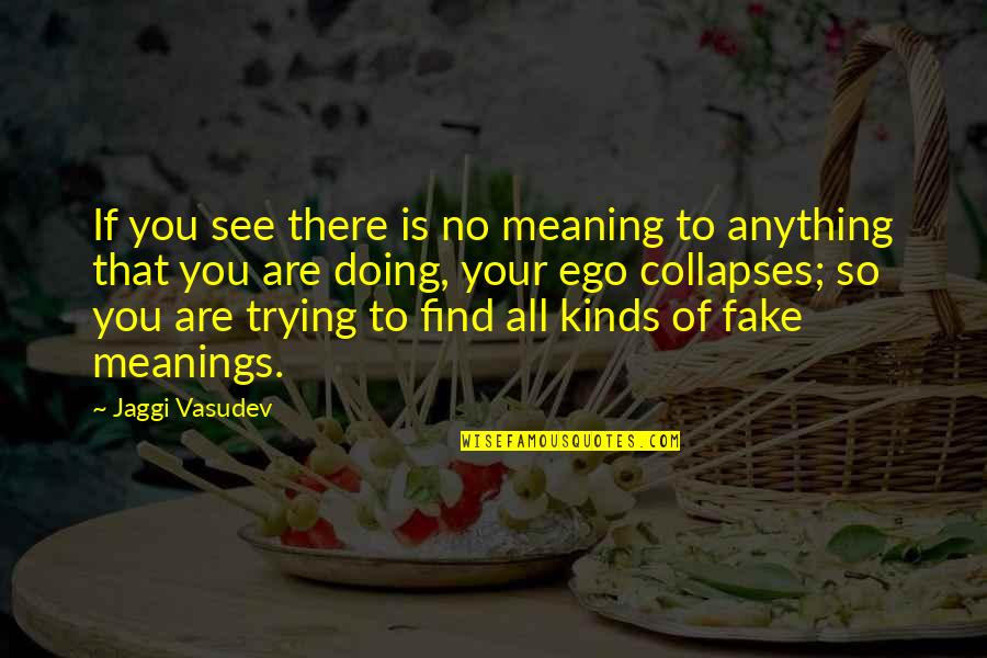 Nowhereville Quotes By Jaggi Vasudev: If you see there is no meaning to