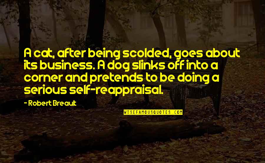 Nowl Quotes By Robert Breault: A cat, after being scolded, goes about its Nowl Quotes By Robert Breault: A cat, after being scolded, goes about its