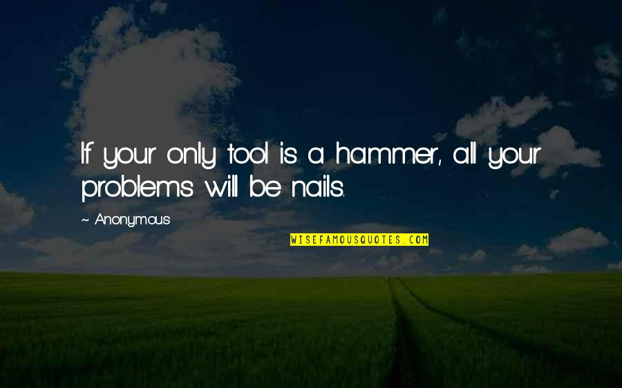 Noyse Quotes By Anonymous: If your only tool is a hammer, all