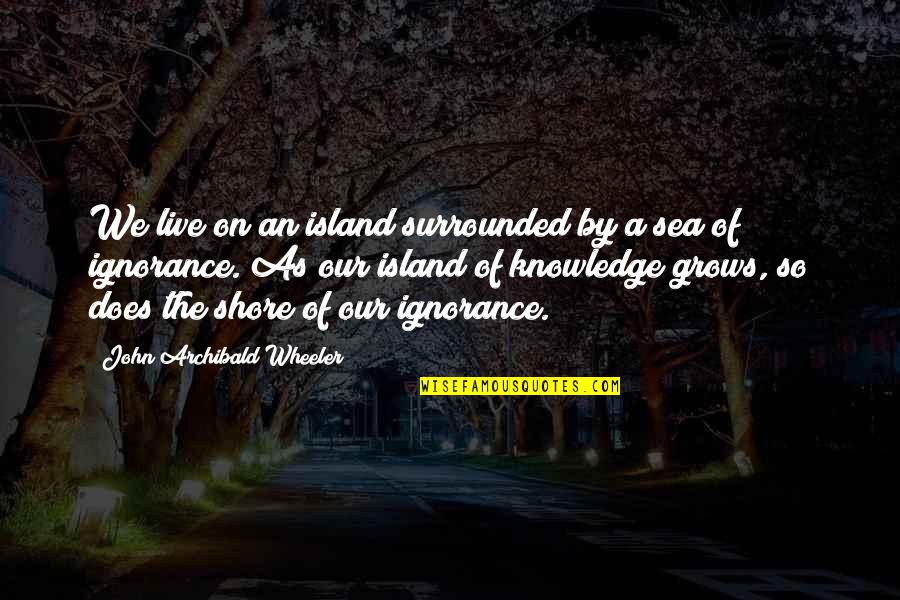 Nozkowski Auction Quotes By John Archibald Wheeler: We live on an island surrounded by a