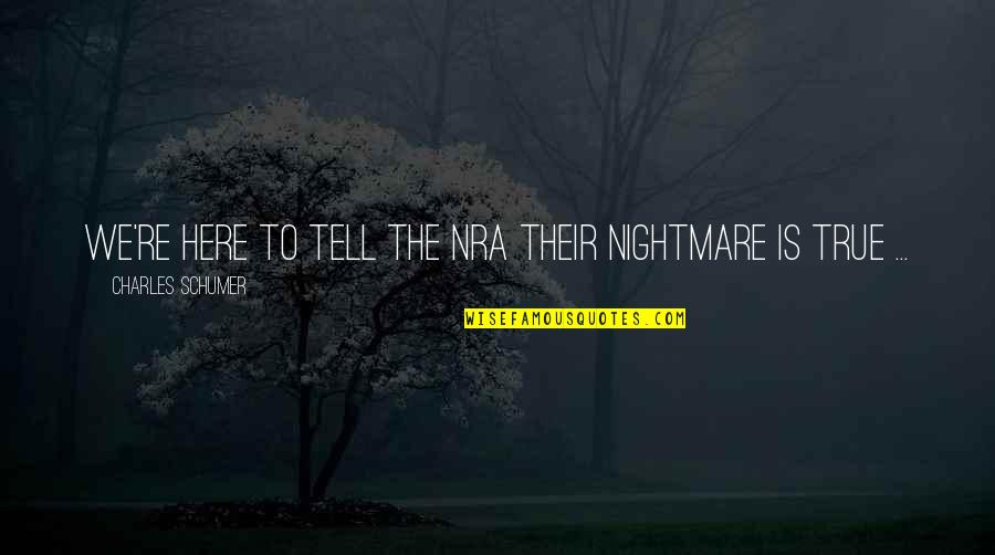 Nra Gun Quotes By Charles Schumer: We're here to tell the NRA their nightmare