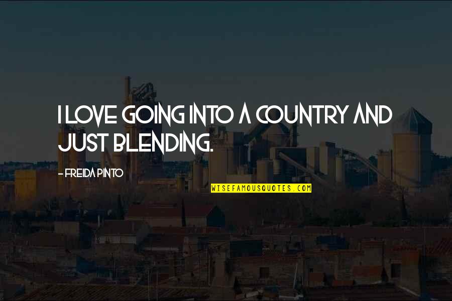 Ntokozo Mdluli Quotes By Freida Pinto: I love going into a country and just Ntokozo Mdluli Quotes By Freida Pinto: I love going into a country and just