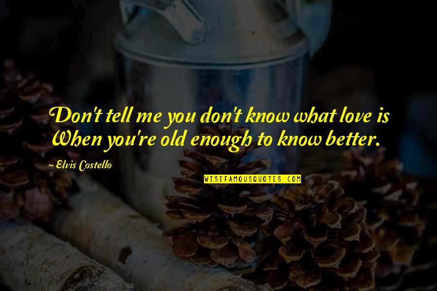 Nuanced Perspective On Meaningful Work Quotes By Elvis Costello: Don't tell me you don't know what love