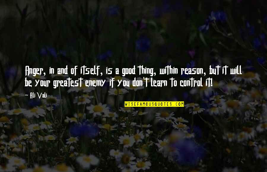 Nuccia Cardinali Quotes By Ali Vali: Anger, in and of itself, is a good Nuccia Cardinali Quotes By Ali Vali: Anger, in and of itself, is a good