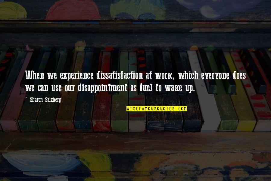Nucl Otide Quotes By Sharon Salzberg: When we experience dissatisfaction at work, which everyone