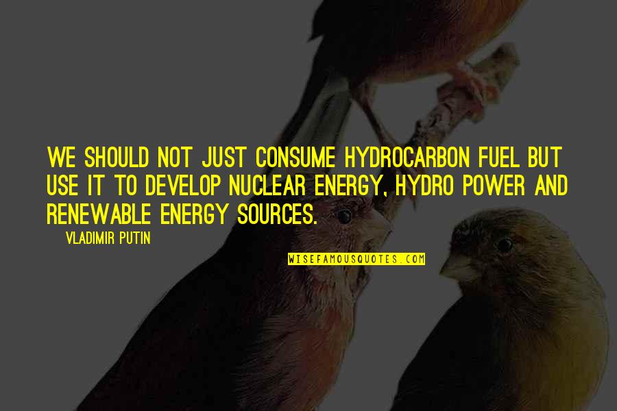 Nuclear Energy Quotes By Vladimir Putin: We should not just consume hydrocarbon fuel but Nuclear Energy Quotes By Vladimir Putin: We should not just consume hydrocarbon fuel but