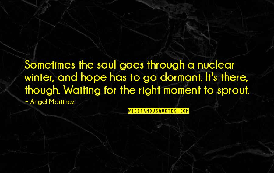 Nuclear Quotes By Angel Martinez: Sometimes the soul goes through a nuclear winter,