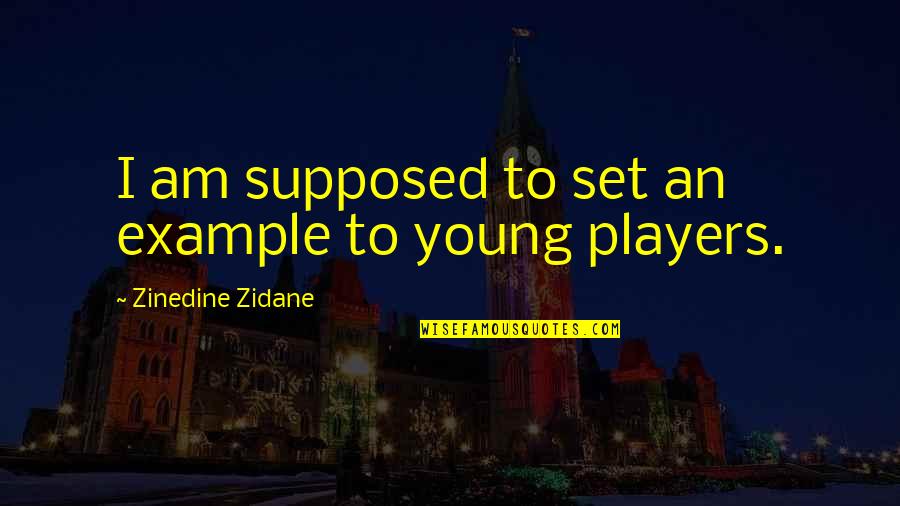 Nudie Bar Quotes By Zinedine Zidane: I am supposed to set an example to