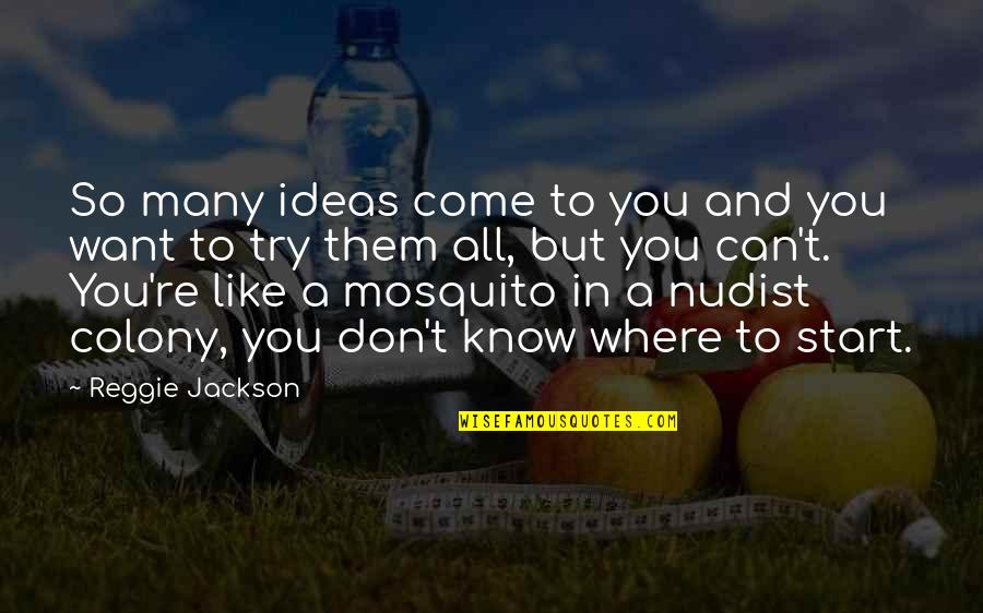 Nudist Quotes By Reggie Jackson: So many ideas come to you and you