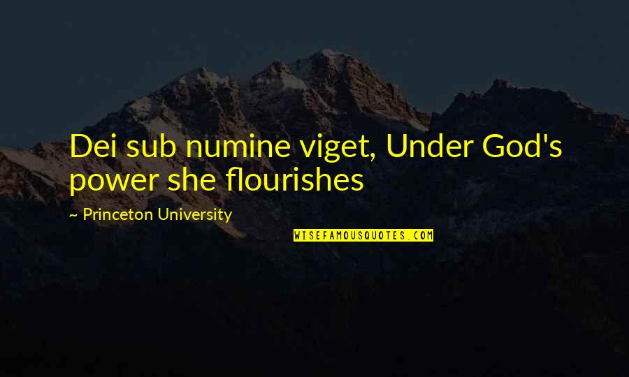 Nukuteater Quotes By Princeton University: Dei sub numine viget, Under God's power she