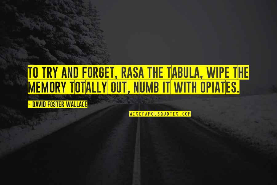 Numb Quotes By David Foster Wallace: To try and forget, rasa the tabula, wipe