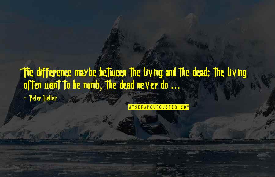 Numb Quotes By Peter Heller: The difference maybe between the living and the