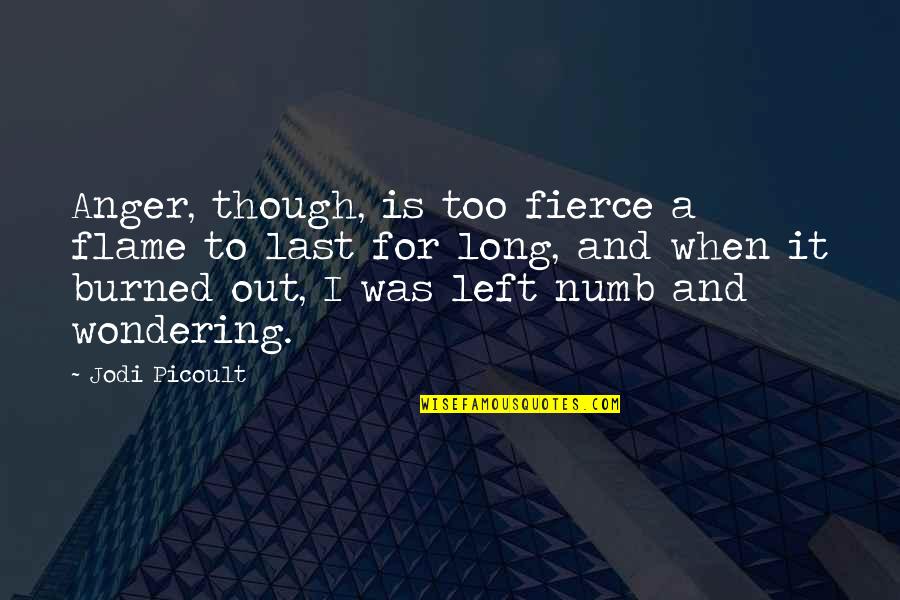 Numb'd Quotes By Jodi Picoult: Anger, though, is too fierce a flame to