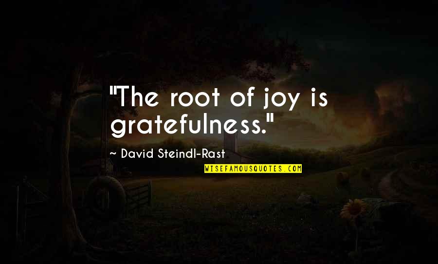 Number Thirteen Quotes By David Steindl-Rast: "The root of joy is gratefulness."