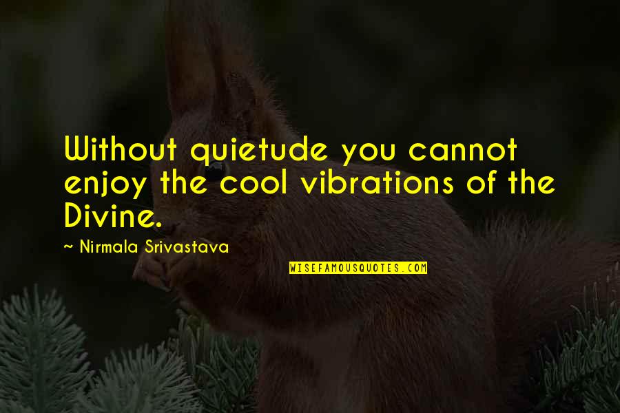 Number Twelve Quotes By Nirmala Srivastava: Without quietude you cannot enjoy the cool vibrations