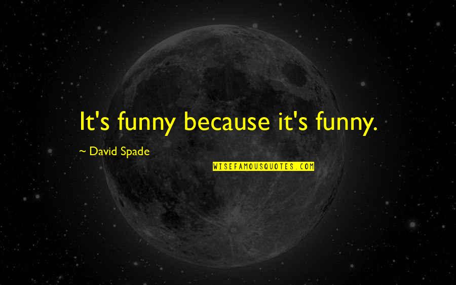 Numberest Quotes By David Spade: It's funny because it's funny.