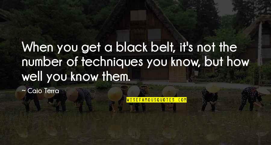 Numbers Quotes By Caio Terra: When you get a black belt, it's not