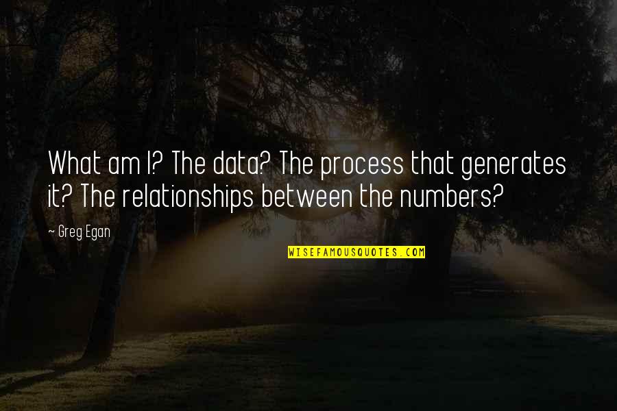 Numbers Quotes By Greg Egan: What am I? The data? The process that