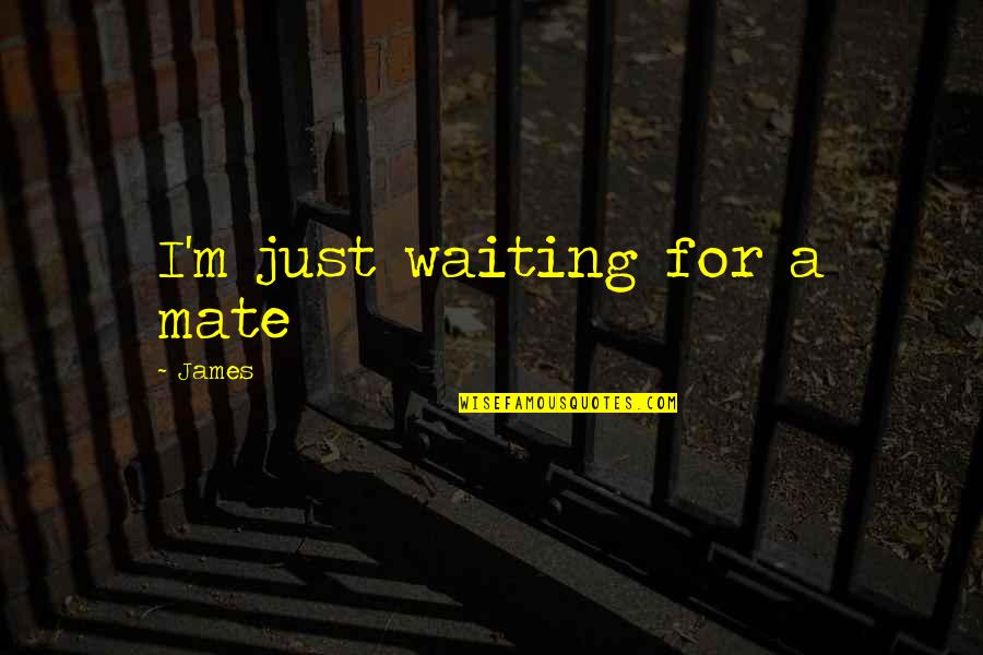 Numenorean Quotes By James: I'm just waiting for a mate