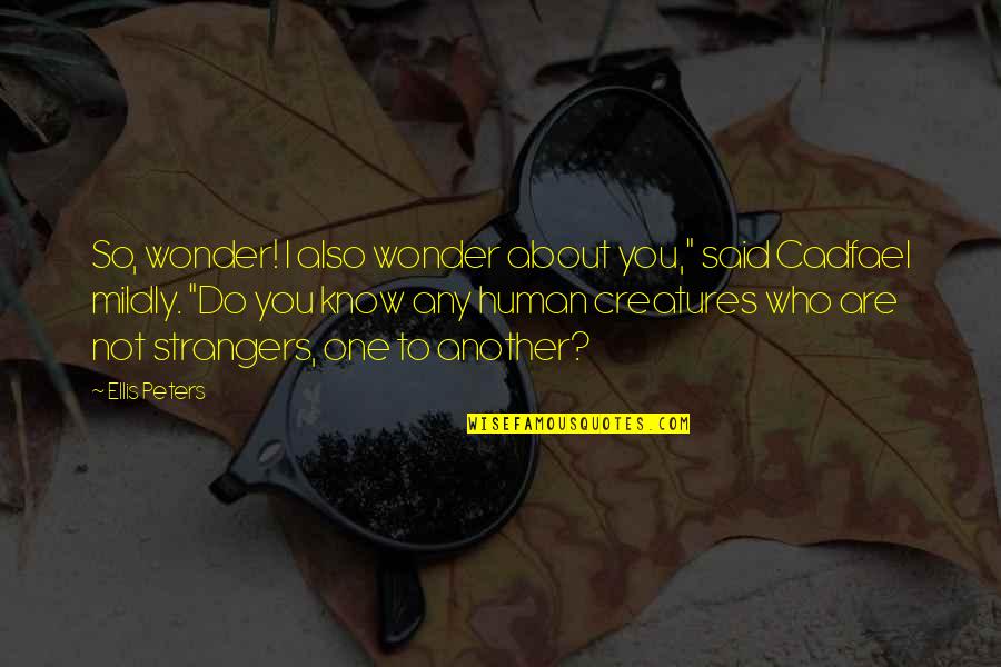 Numeros En Ingles Del 1 Al 20 Y Su Pronunciacion Quotes By Ellis Peters: So, wonder! I also wonder about you," said