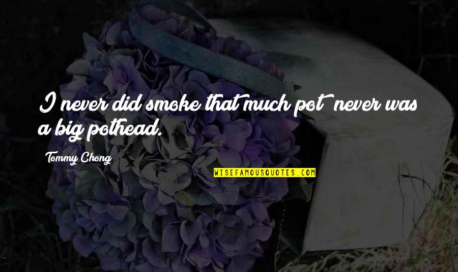 Numerosas Veces Quotes By Tommy Chong: I never did smoke that much pot; never