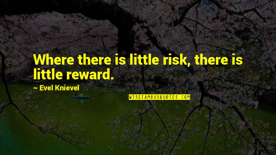 Nungambakkam Pin Quotes By Evel Knievel: Where there is little risk, there is little