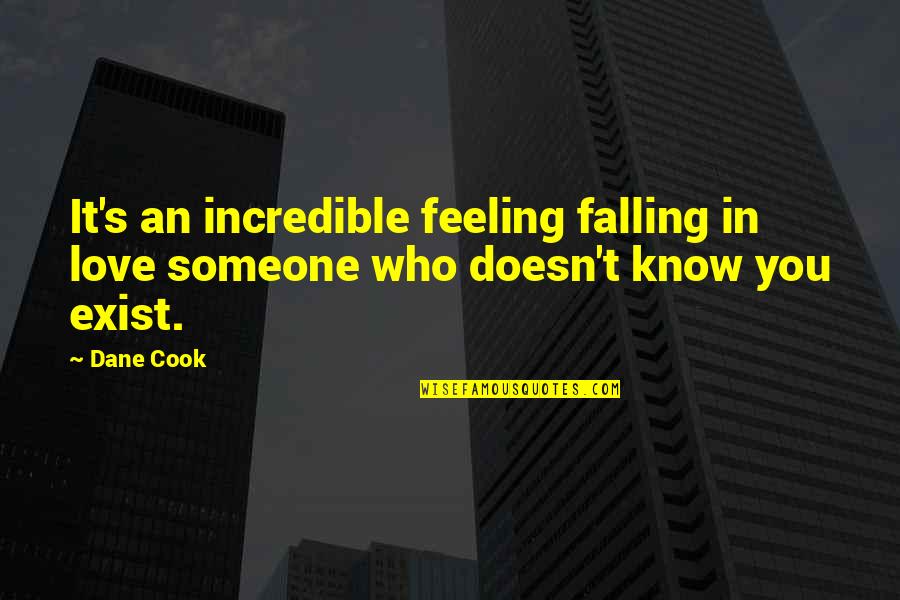Nunung Nurmalasari Quotes By Dane Cook: It's an incredible feeling falling in love someone