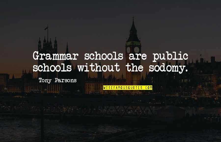 Nurse Cavell Quotes By Tony Parsons: Grammar schools are public schools without the sodomy.