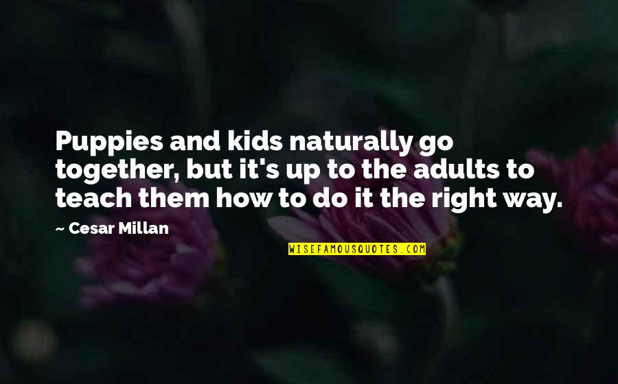 Nurse Romeo And Juliet Key Quotes By Cesar Millan: Puppies and kids naturally go together, but it's Nurse Romeo And Juliet Key Quotes By Cesar Millan: Puppies and kids naturally go together, but it's