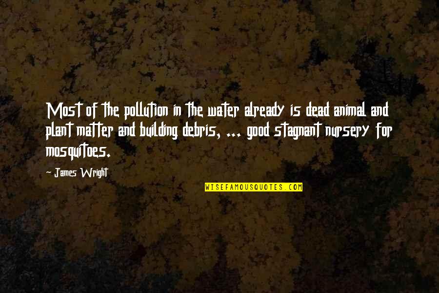 Nursery Quotes By James Wright: Most of the pollution in the water already