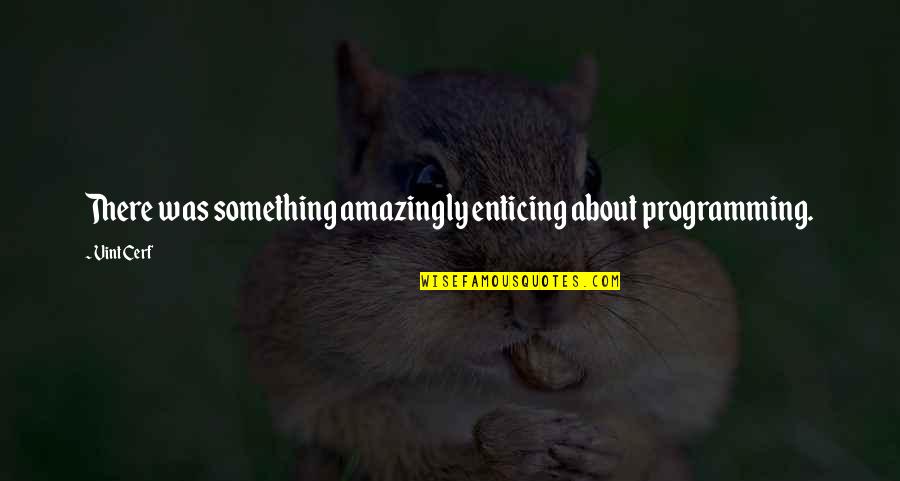 Nurses And Dying Quotes By Vint Cerf: There was something amazingly enticing about programming.