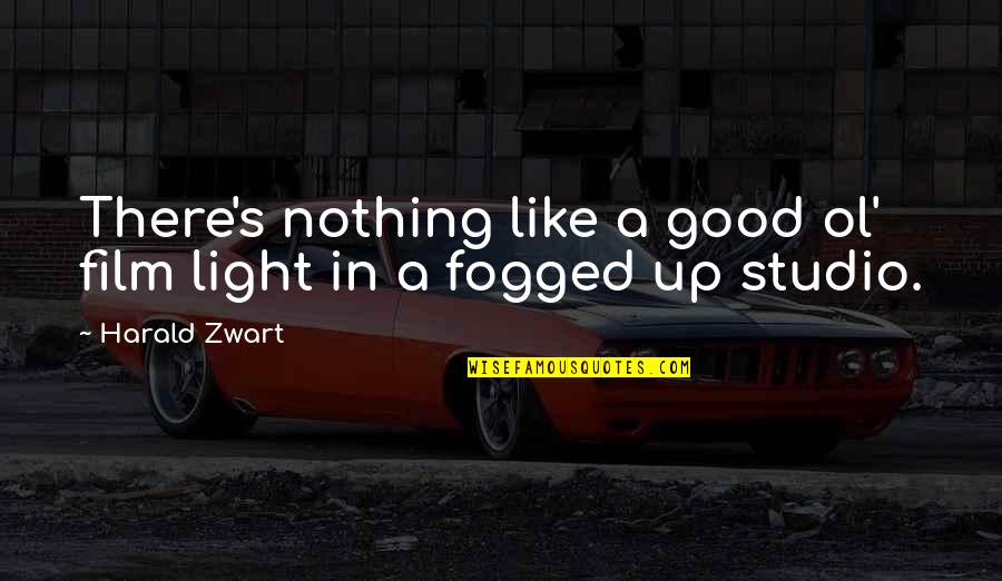 Nursie Expertise Quotes By Harald Zwart: There's nothing like a good ol' film light