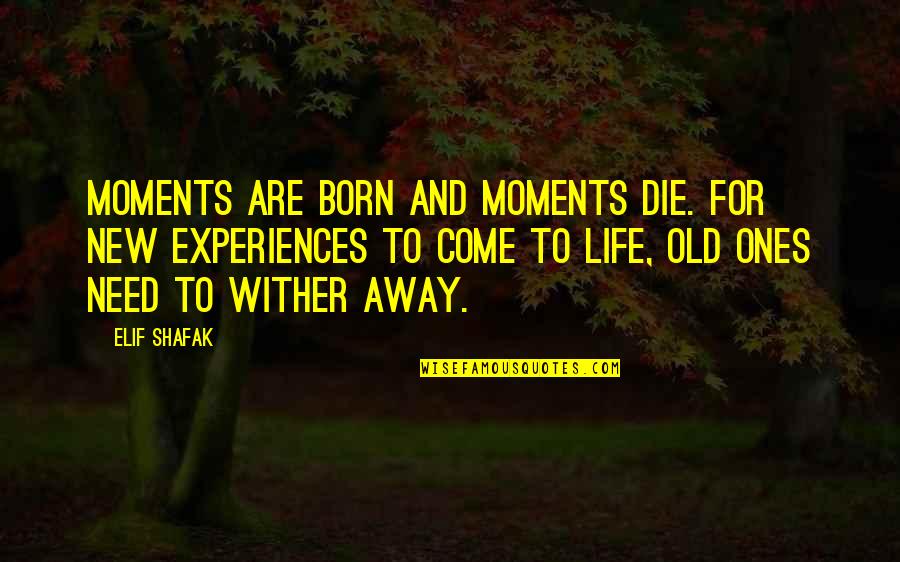 Nursing Elderly Quotes By Elif Shafak: Moments are born and moments die. For new