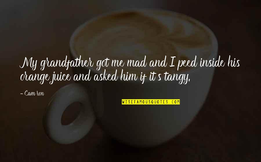 Nurtured Hearts Quotes By Cam'ron: My grandfather got me mad and I peed