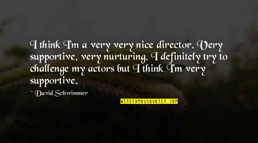 Nurturing Quotes By David Schwimmer: I think I'm a very very nice director.