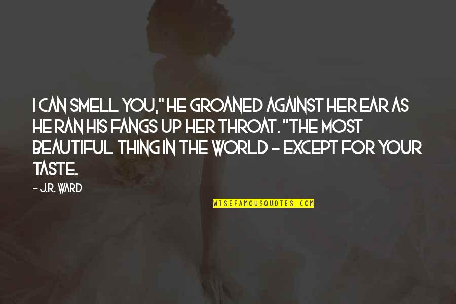 Nuru Quotes By J.R. Ward: I can smell you," he groaned against her Nuru Quotes By J.R. Ward: I can smell you," he groaned against her