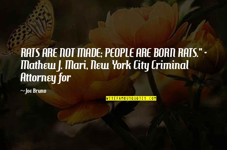 Nuthatches Of North Quotes By Joe Bruno: RATS ARE NOT MADE; PEOPLE ARE BORN RATS." Nuthatches Of North Quotes By Joe Bruno: RATS ARE NOT MADE; PEOPLE ARE BORN RATS."